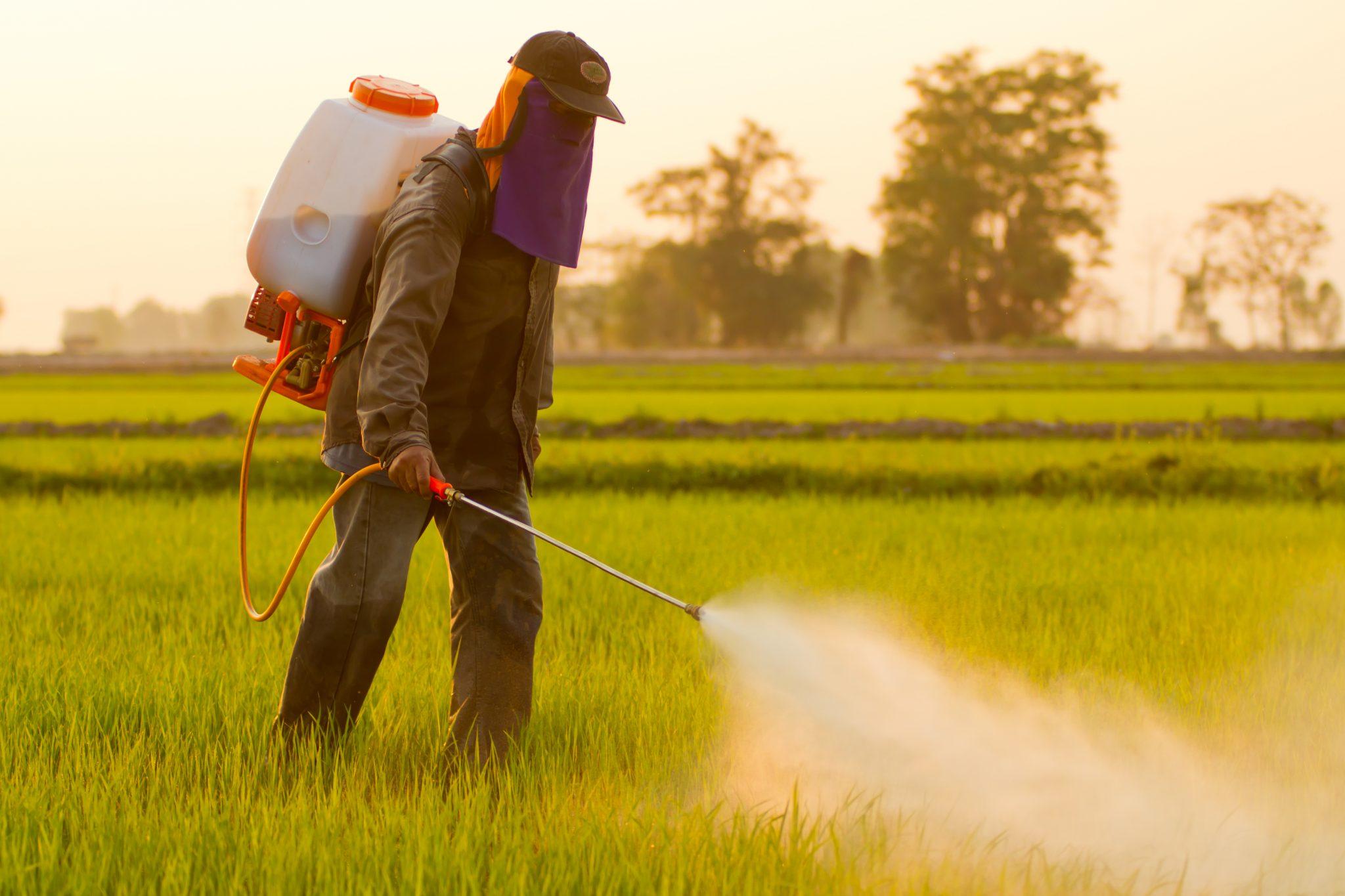 Spray chemical weed killer